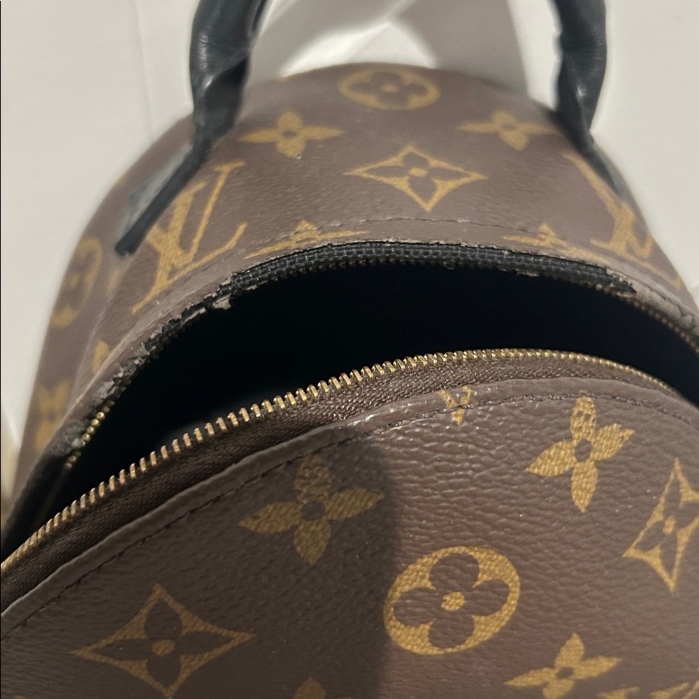 PALM SPRINGS MINI - Louis Vuitton - Picture 8 of 11